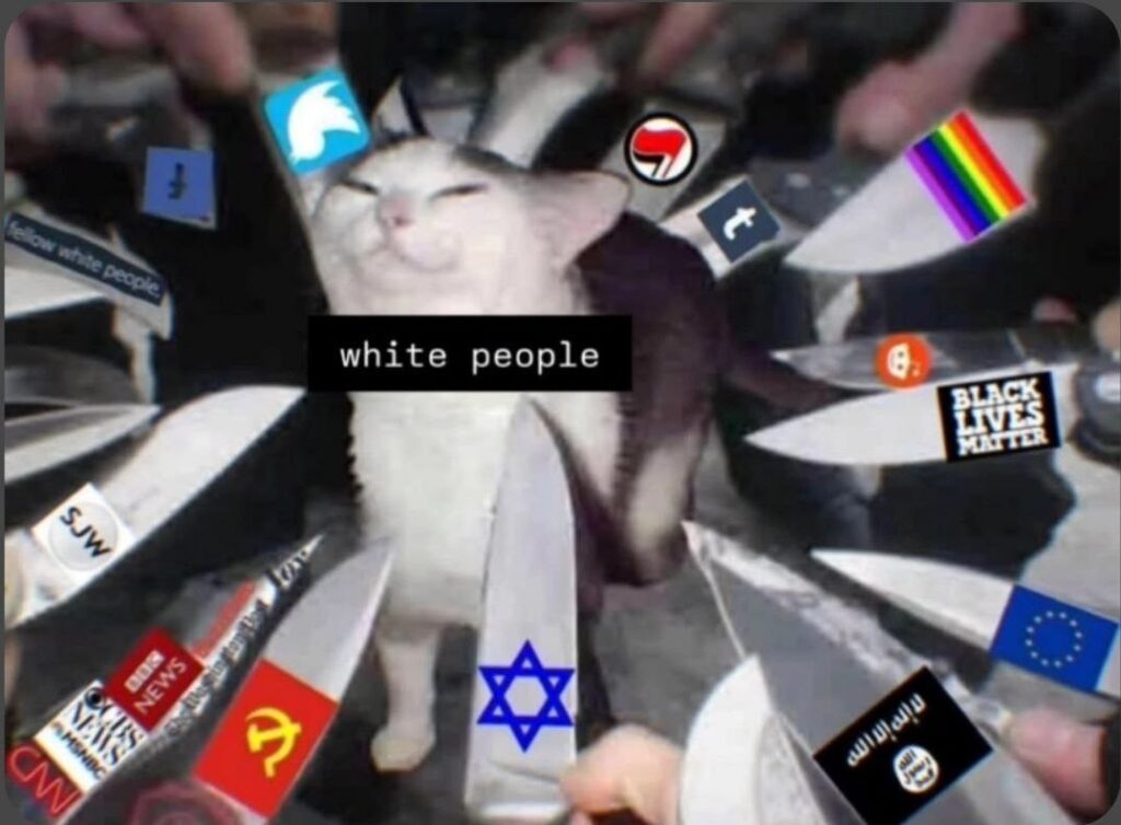 You ever just vibe but life’s ready to attack from all angles? 😹 #dangerzone #catlife #mood.