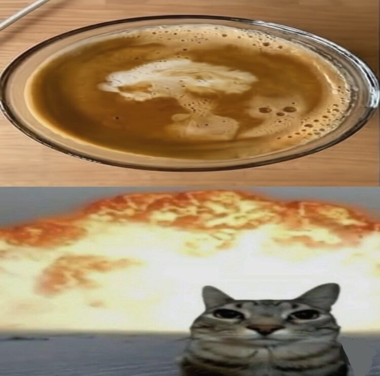When your morning coffee hits so hard, even the cat's questioning reality. ☕💥 #Monday #CoffeeLover #Boom.