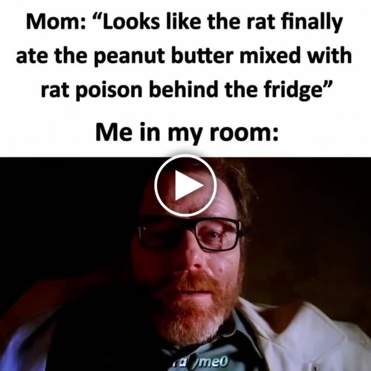 Mom: "Looks like the rat finally ate the peanut butter mixed with rat poison behind the fridge." You in your room: #yikes #me.