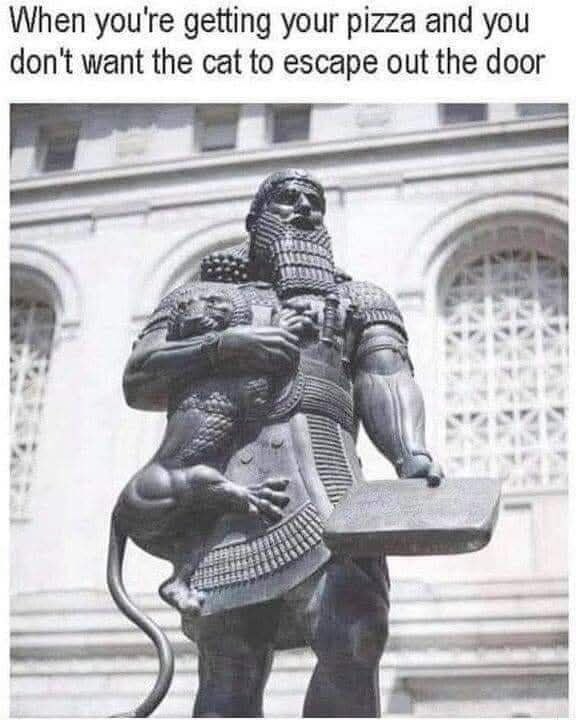 When you’re trying to stop your cat from busting out while pizza’s at the door. #catlife #pizza #struggle.