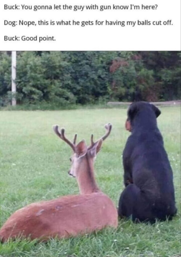 Ever sat with your buddy like, "We really don’t warn each other about anything, huh?" Holding grudges like pros. #friendship #squad.