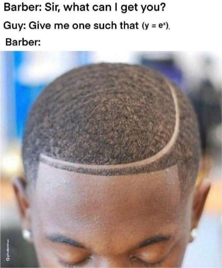 When you ask your barber for that math-inspired look and walk out looking like y = eˣ. #math #freshcut #lol.