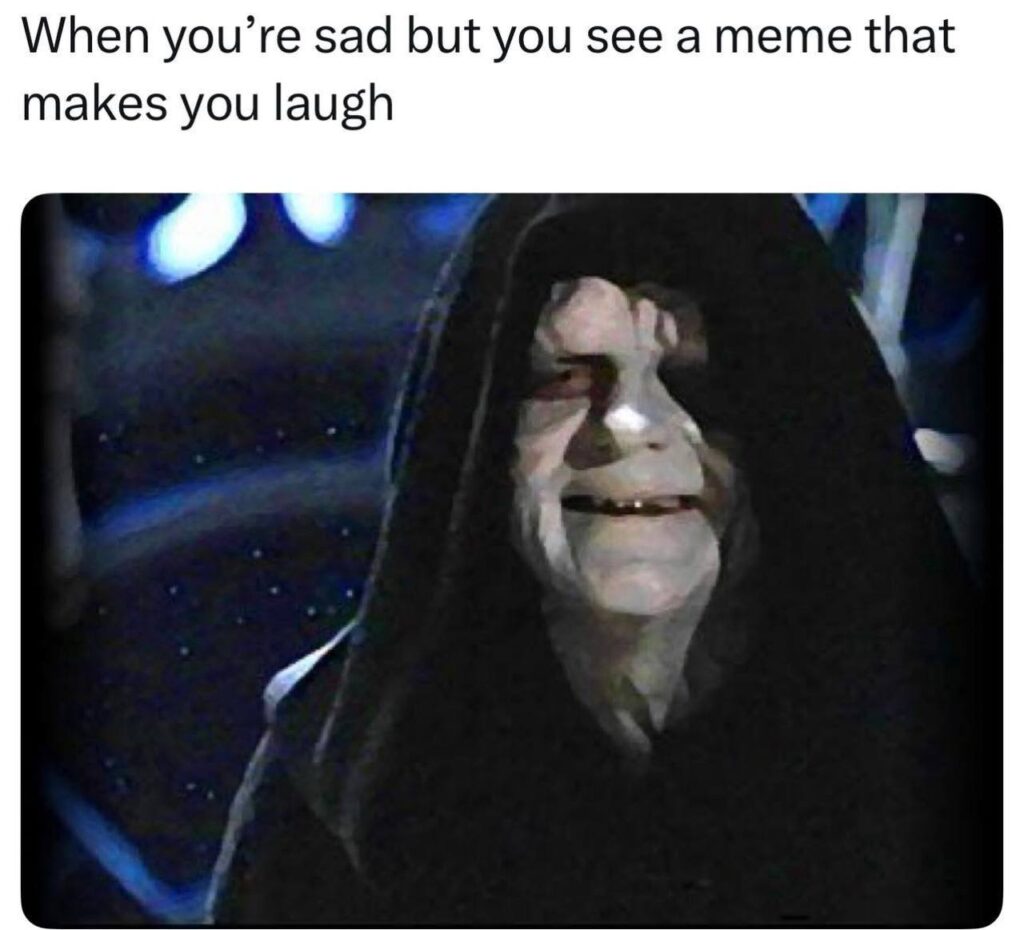 When you're sad but you see a meme that makes you laugh. Mood switches faster than WiFi! #meme #sadboi #LOL.