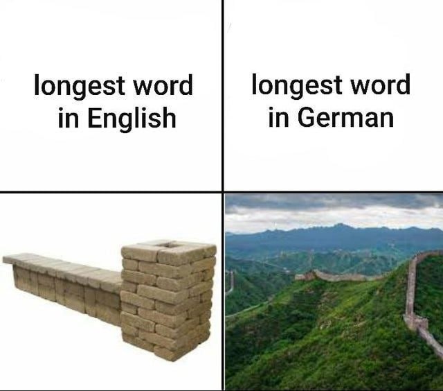 When English says "longest word" vs when German does: Brick wall vs Great Wall. The struggle is real! #languages #funny.