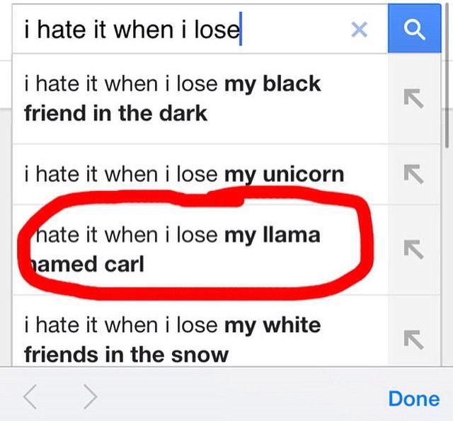 When you search “i hate it when i lose my llama named carl” and realize autocorrect can’t help you now. #searchfail #llama #lol.