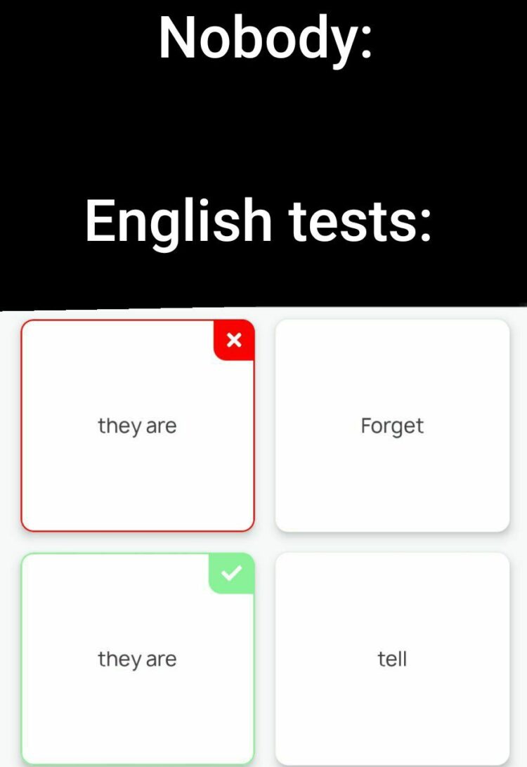 Nobody: English tests: Quiz where both answers say "they are" but only one gets the green check while the other gets the red X. #relatable.