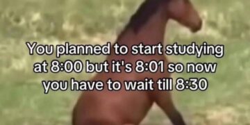Anyone else do this? When you miss your study start time by a minute and now you gotta wait till the half hour 😂 #relatable #procrastination.