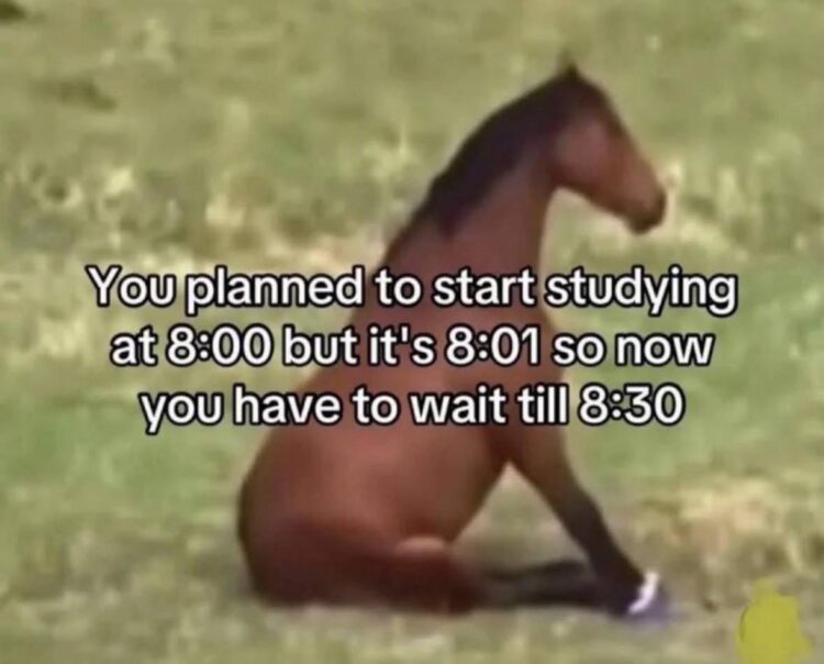 Anyone else do this? When you miss your study start time by a minute and now you gotta wait till the half hour 😂 #relatable #procrastination.