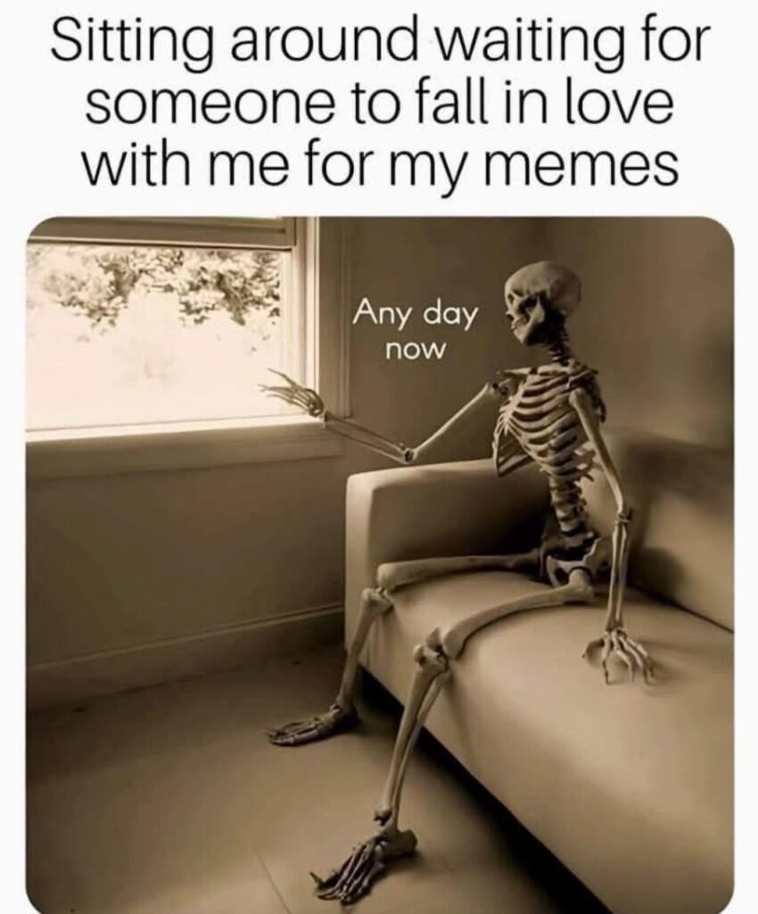 When you’re just waiting for the right one to love your memes. Skeleton on the couch life 💀 #foreveralone #memelife.