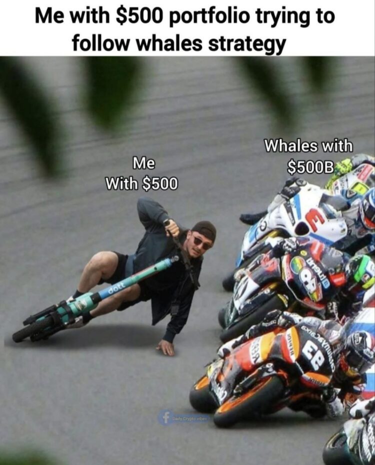 You with $500 on a scooter trying to race whales on superbikes labeled $500B. "Me with $500 portfolio trying to follow whales strategy." #relatable.