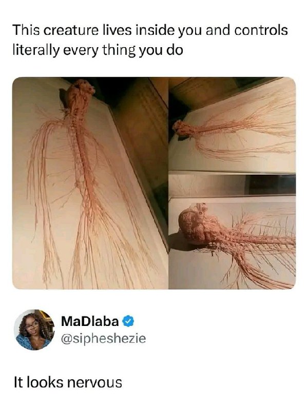 Ever think about who’s really in charge? This creature lives inside you and controls literally everything you do. It looks nervous. #relatable.