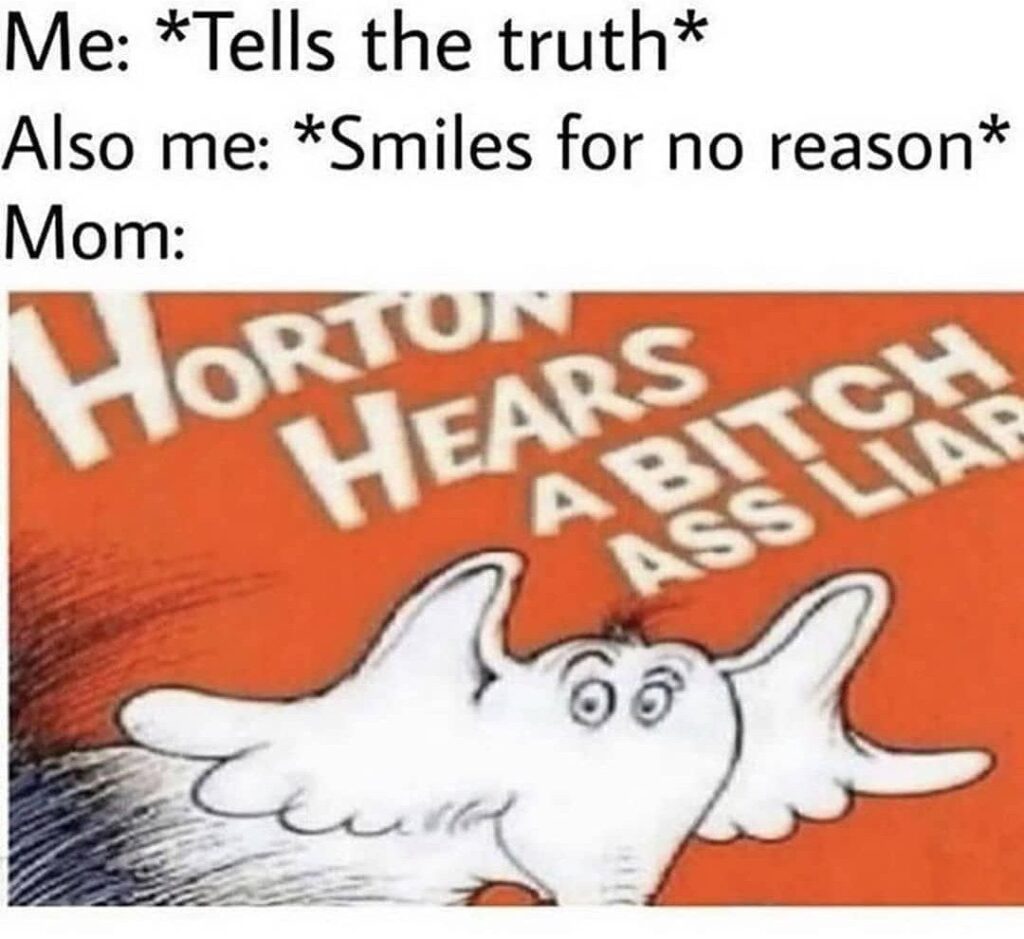 When you tell the truth and smile for no reason then your mom hits you with that Horton Hears a Bitch Ass Liar look #relatable.