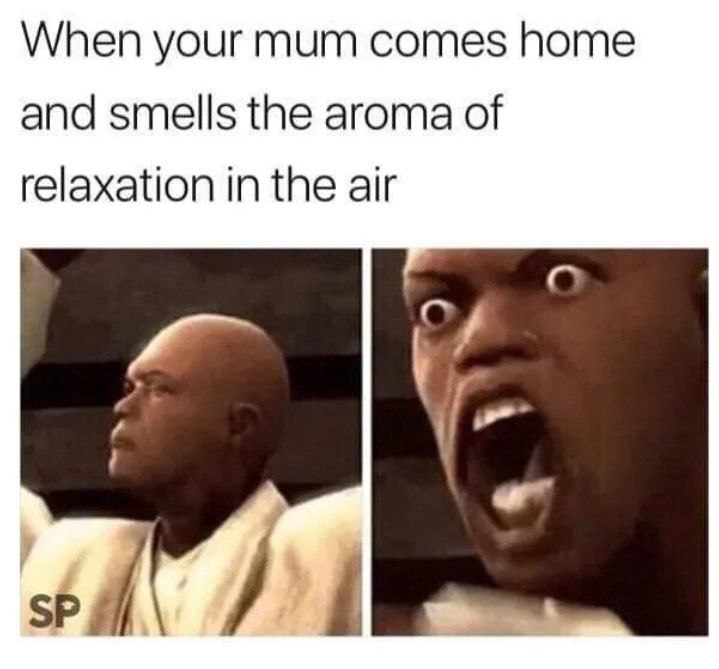 When your mum comes home and smells the aroma of relaxation in the air. Calm vs shocked bald guy. #relatable #meme.