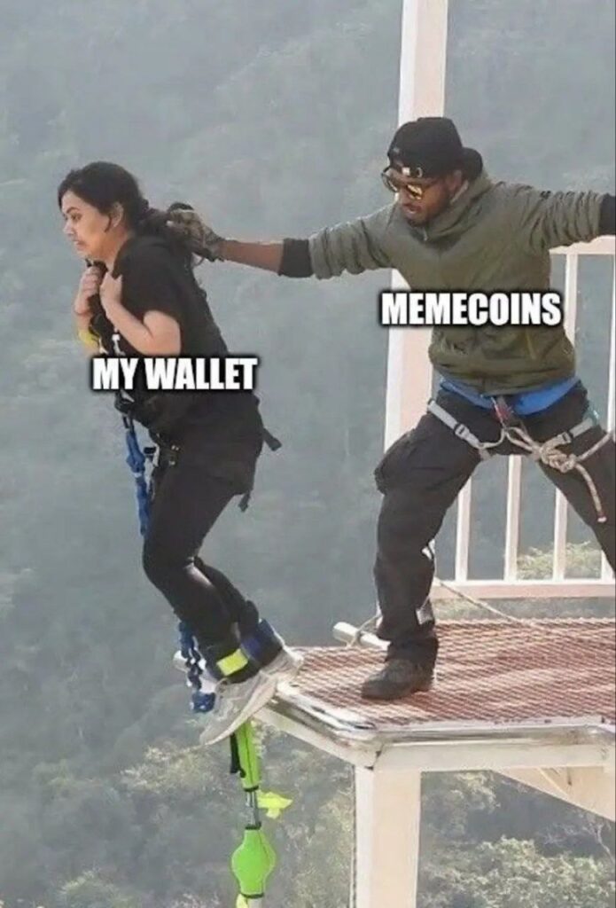 When $MEMECOINS send your MY WALLET into panic mode and off the edge. Risky business out here! #crypto #memecoins.