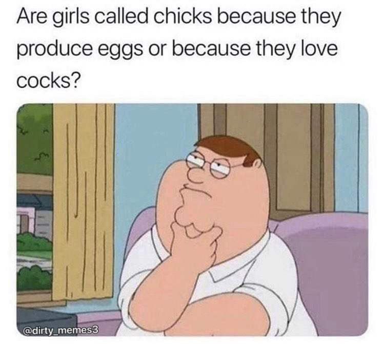 Are girls called chicks because they produce eggs or because they love cocks? Deep thoughts 😂 #FamilyGuy #LOL #memes.
