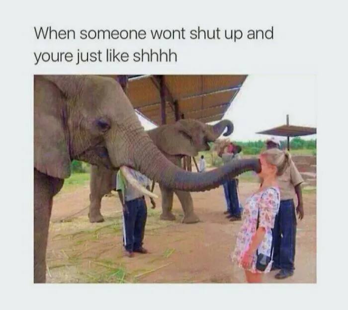 When someone won't shut up and you're just like shhhh. When words fail, trunk power prevails. #funny #MondayMood.