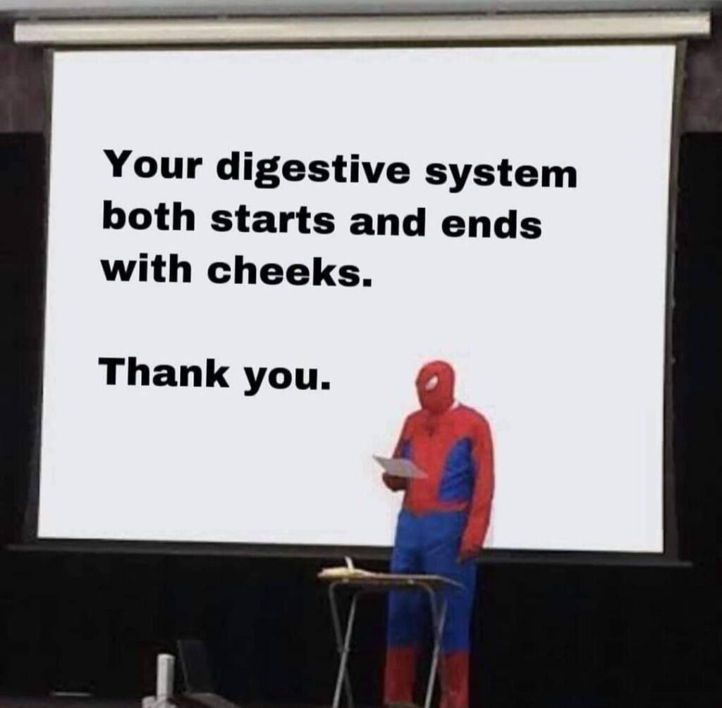 When you realize your digestive system both starts AND ends with cheeks. Thank you. #facts #mindblown.
