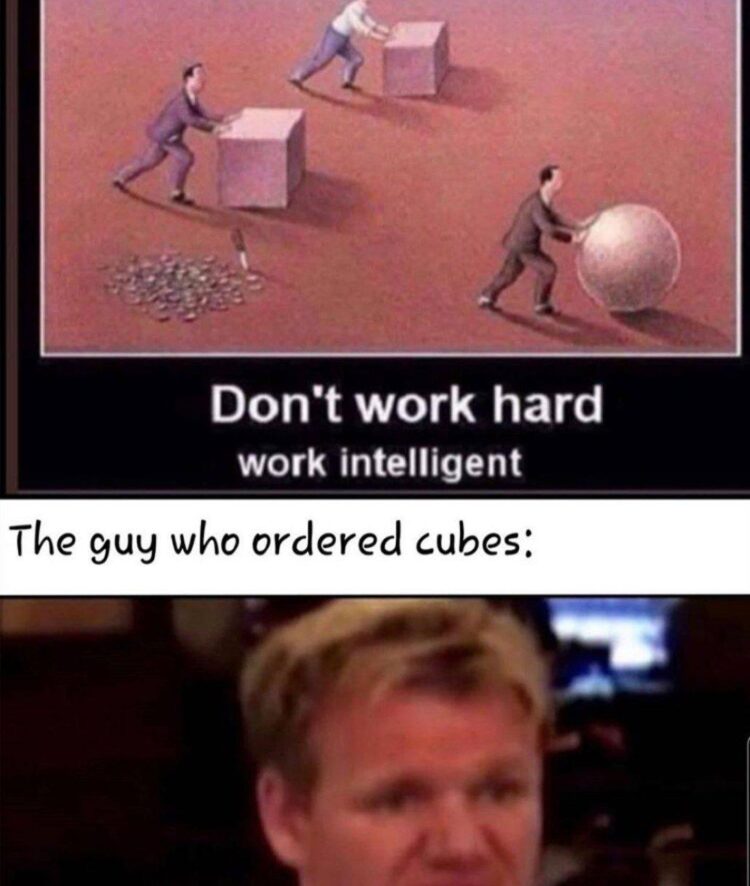 Don’t work hard, work intelligent. The guy who ordered cubes: Bro just wanted to roll with it 😂 #worksmart #memes.