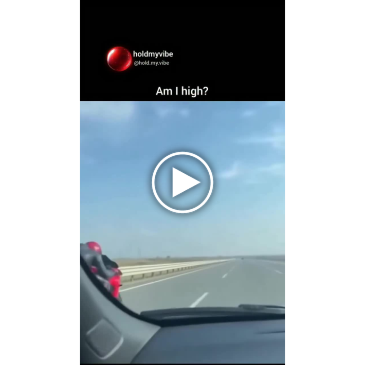 Riding down an open highway asking yourself "Am I high?" You know you've had that moment 😂 #relatable #motorcycle #lol.