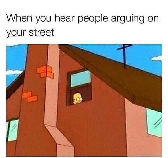 When you hear people arguing on your street. You know you’re peeking too 👀 #meme #drama.