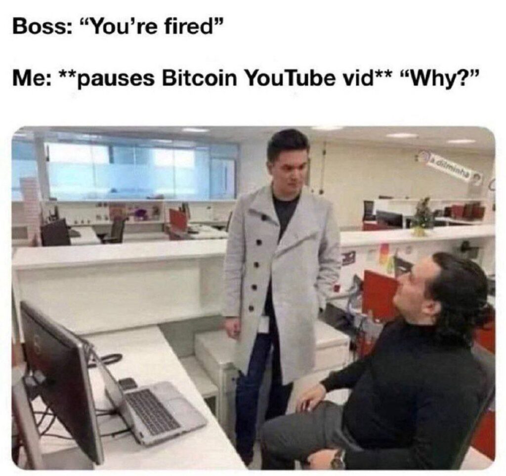 You’re fired. Why? When your boss interrupts your Bitcoin YouTube binge. #Bitcoin #crypto #WFHlife.