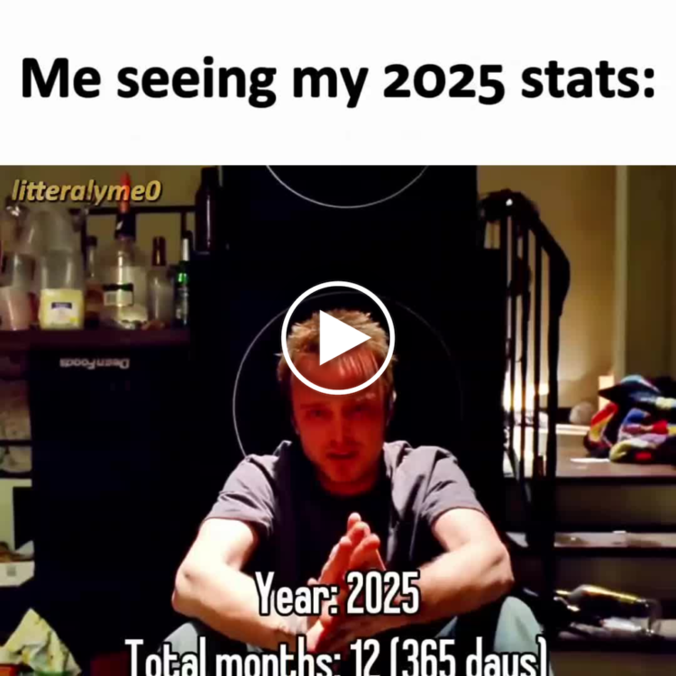 Me seeing my 2025 stats: Year: 2025 Total months: 12 (365 days). Glad to see everything’s right on track! #meme #funny #calendar.