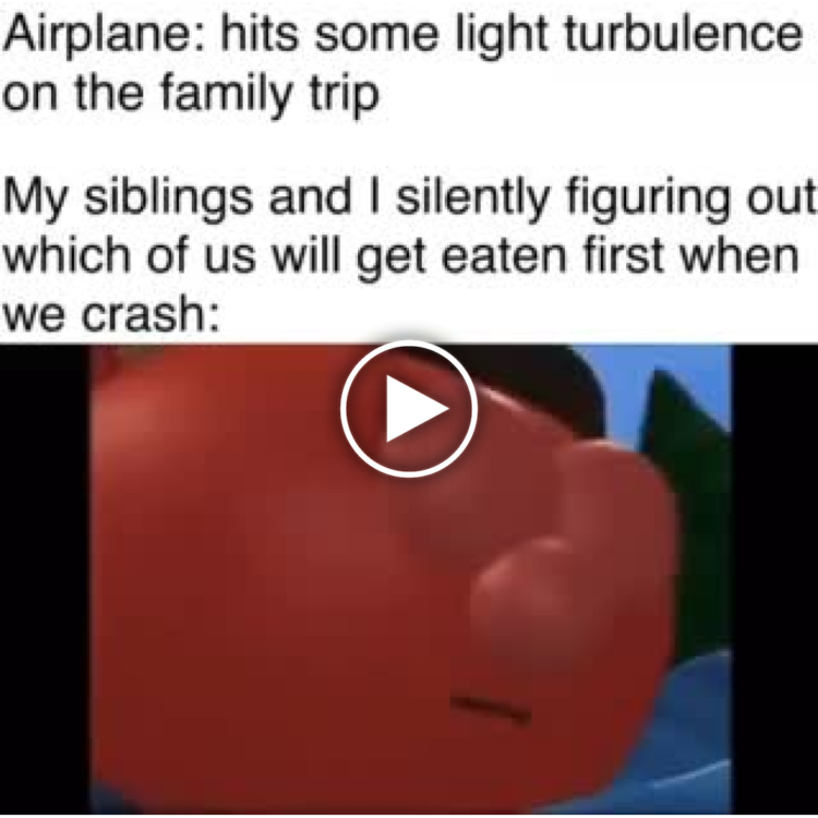 Airplane: hits some light turbulence on the family trip. Your siblings and you silently figuring out who gets eaten first 😂✈️ #siblings #turbulence.