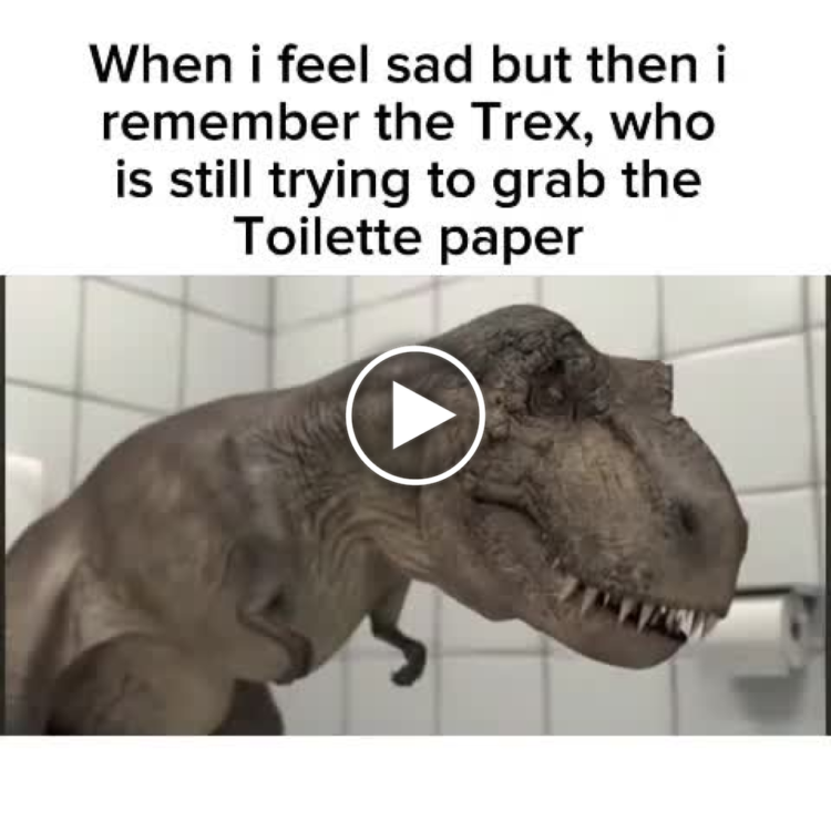 When you feel sad but then you remember the Trex, still trying to grab the Toilette paper. #dinosaur #struggle.