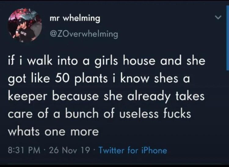 If she has 50 plants, she’s a keeper—you know she can handle one more useless guy 😂🌱 #dating #plants #keeper.