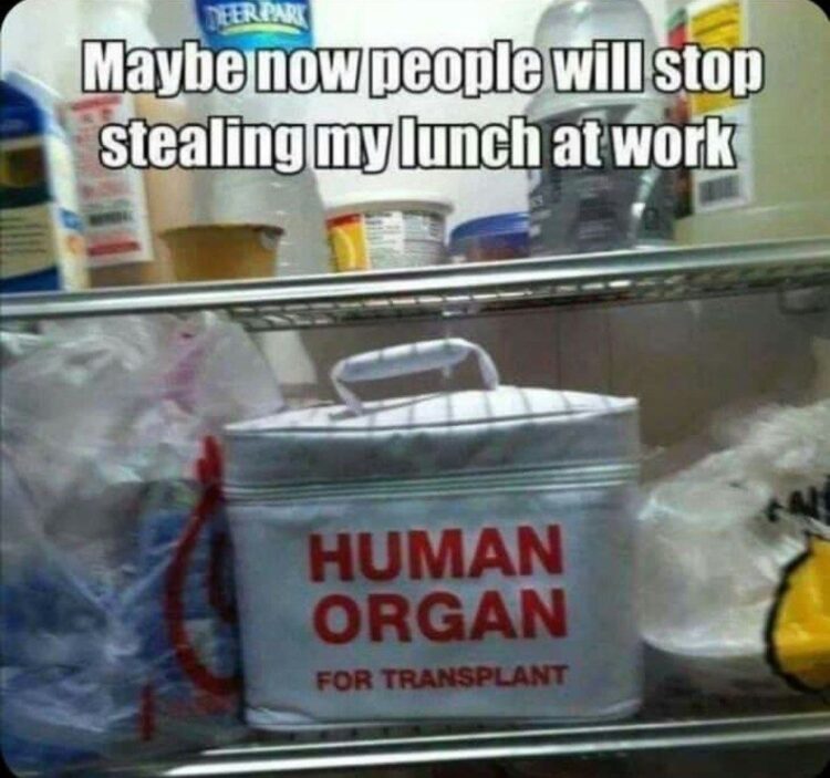 Maybe now people will stop stealing my lunch at work. Just had to label it "HUMAN ORGAN FOR TRANSPLANT" 😂 #worklife #lunchbox.