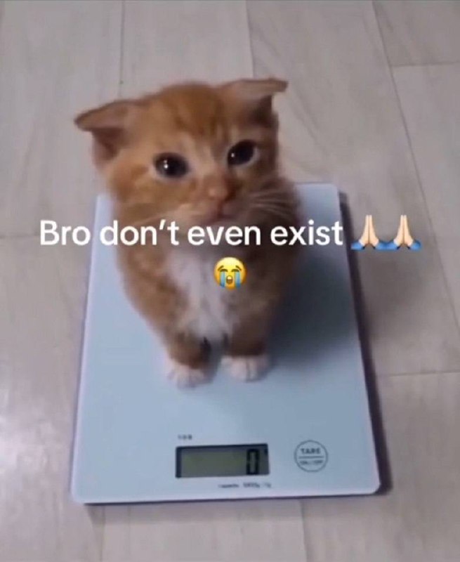 Bro don’t even exist 🙏🙏😭 When you step on the scale and it hits you back with existential vibes #meme #lol.