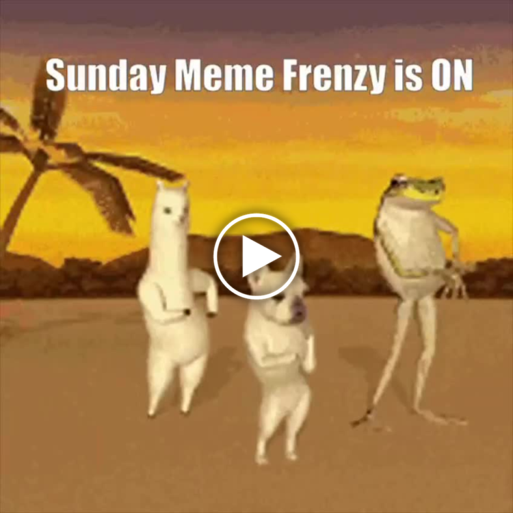 Sunday Meme Frenzy is ON. If you're not dancing into Sunday like this crew, are you even memeing? #SundayFunday #MemeLife.