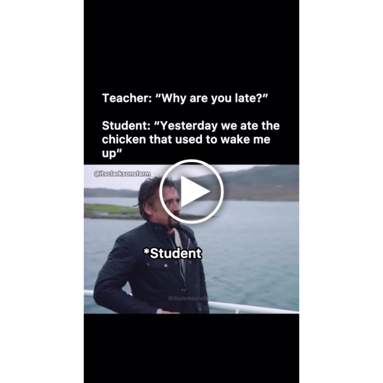 Teacher: Why are you late? Student: Yesterday we ate the chicken that used to wake me up. #MondayMood #ChickenLogic.