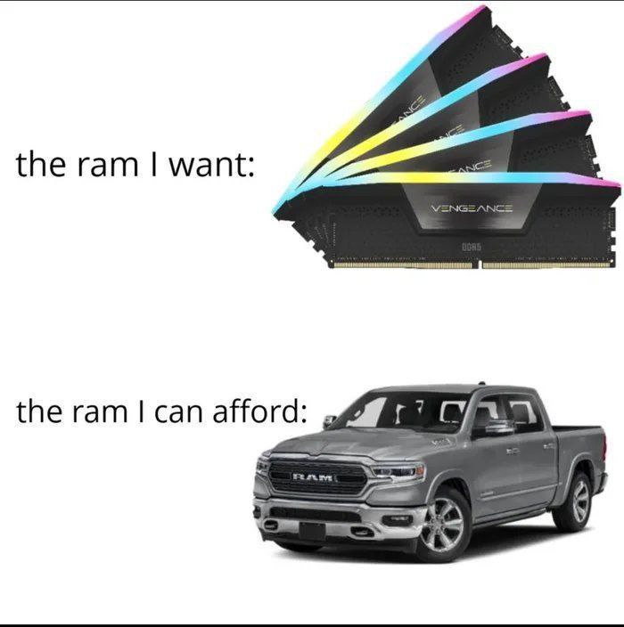 You know it’s bad when “the ram I want” vs “the ram I can afford” just hits different. Budget life. #meme #techproblems #budget.