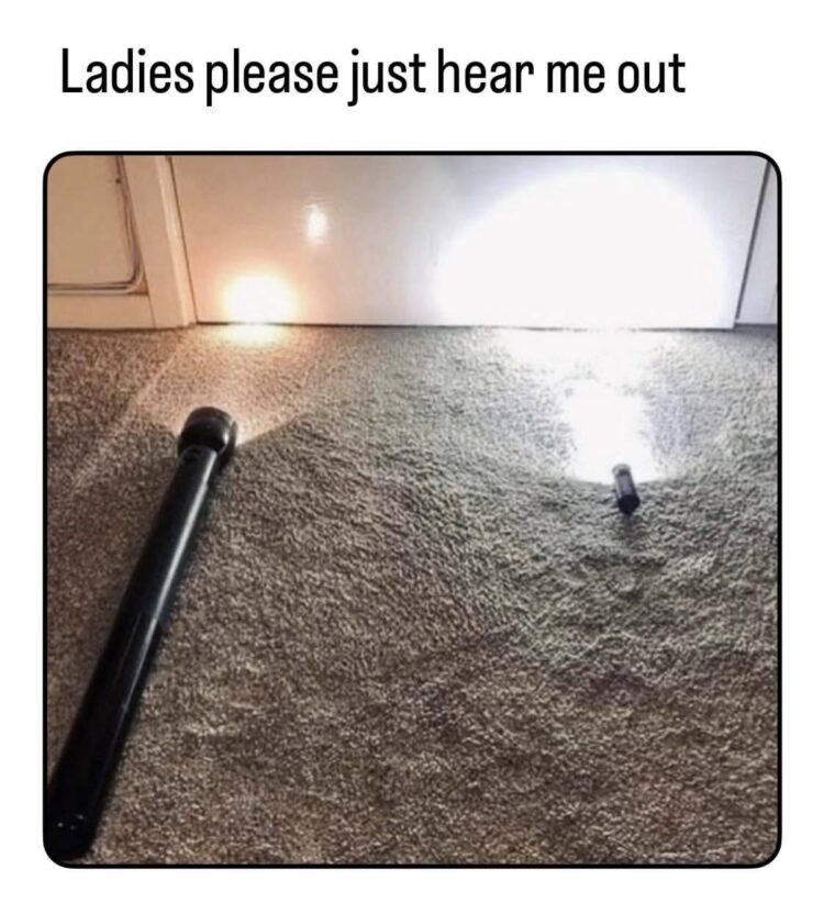 Ladies please just hear me out. When your logic is solid but the delivery is tiny yet somehow hits harder 😂 #meme #truth.