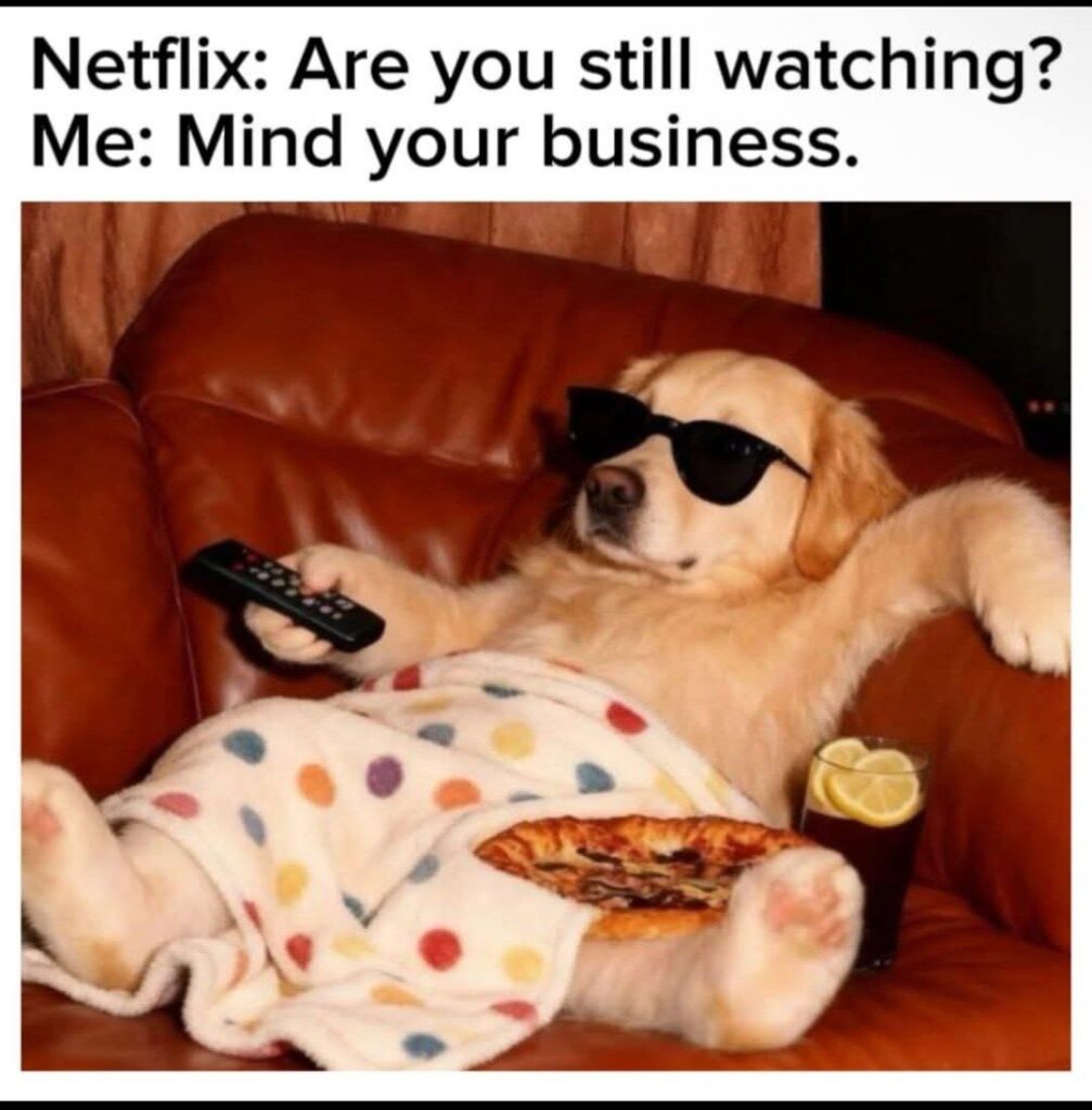 Netflix: Are you still watching? Me: Mind your business. When binge mode is ON and snacks are locked in. #Netflix #mood #weekend.