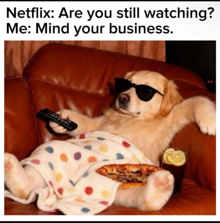 Netflix: Are you still watching? Me: Mind your business. When binge mode is ON and snacks are locked in. #Netflix #mood #weekend.