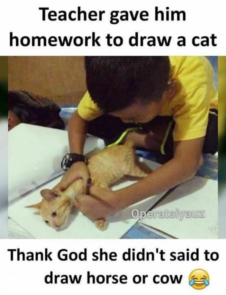 When the homework says “trace a cat” so you take it literally. This is how future legends are made. #homework #catlogic.