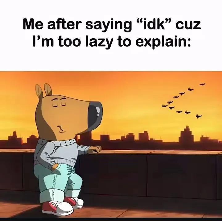 Me after saying 'idk' cuz I’m too lazy to explain. Ever just vibe through conversations? #Lazy #IDK #Mood.