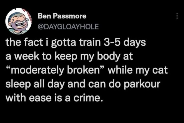 You train 3-5 days a week just to feel ‘moderately broken’ while your cat naps and does parkour? Actual crime. #catlogic #gympain.