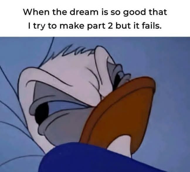 When the dream is so good that I try to make part 2 but it fails. We’ve all been there. #mood #sleepfails.