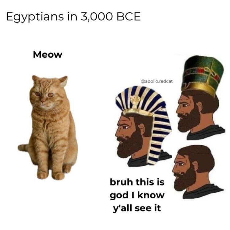 You travel back to 3,000 BCE and Egyptians are like: "bruh this is god I know y'all see it." 🐱 #history #cats #meme.