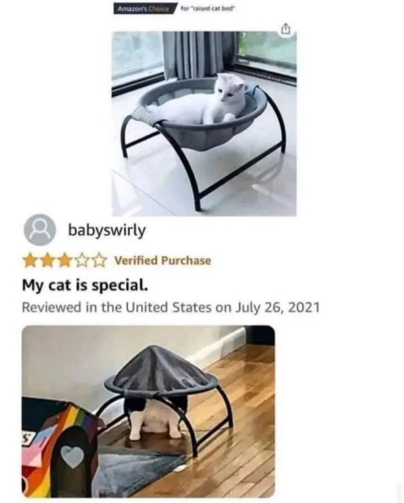 You buy the fancy bed but your cat chooses UNDER it instead. "My cat is special." #catlogic #whydoIbother #petowners.