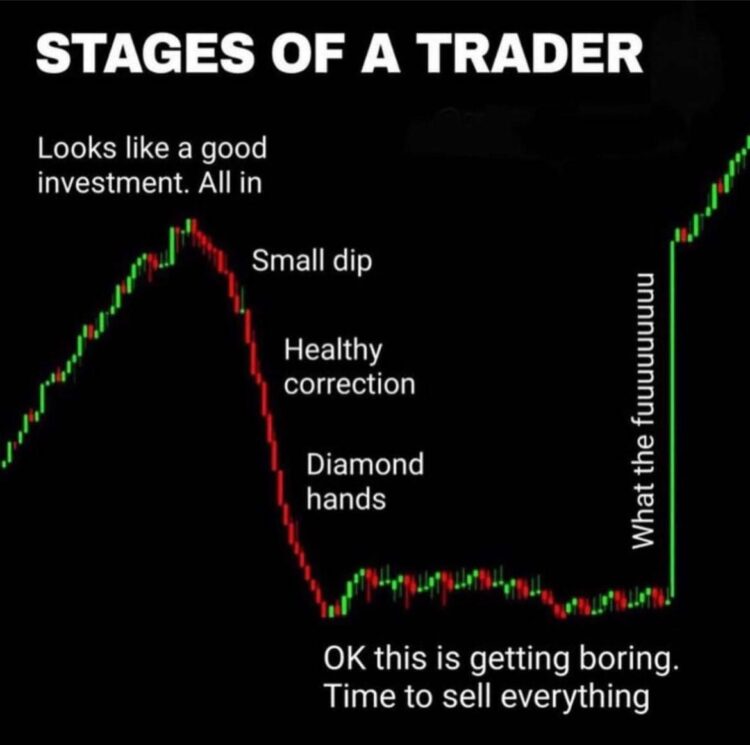 You see "Stages of a Trader": Small dip, Diamond hands, Time to sell everything... then 🚀! Who else rides this rollercoaster? #trading #memes.