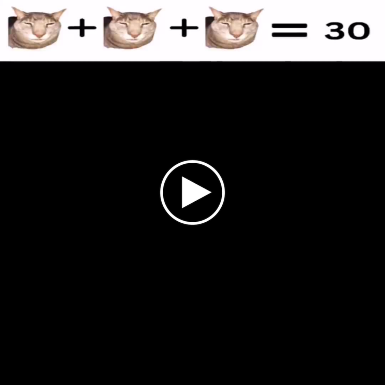 When math class meets cat logic: cat + cat + cat = 30. Quick, solve for purr! #math #cat #funny.