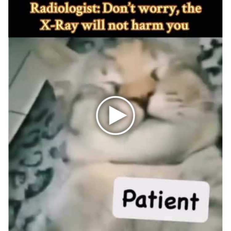 When the radiologist says “Don’t worry, the X-Ray will not harm you” and you’re Patient. 😂 #catsofinstagram #relatable #funny.