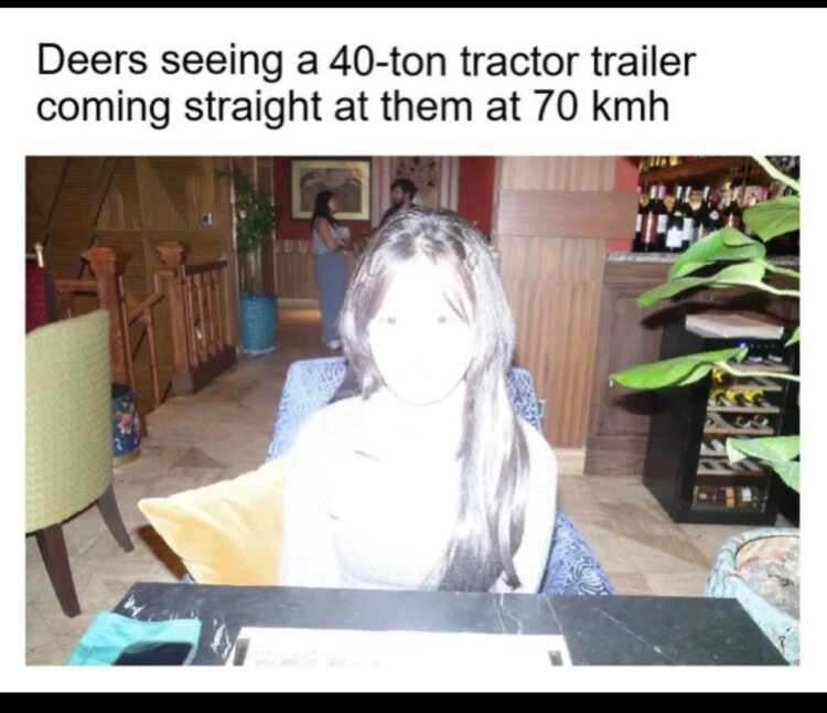 Deers seeing a 40-ton tractor trailer coming straight at them at 70 kmh. Mood when life comes at you fast 😂 #deer #funny.