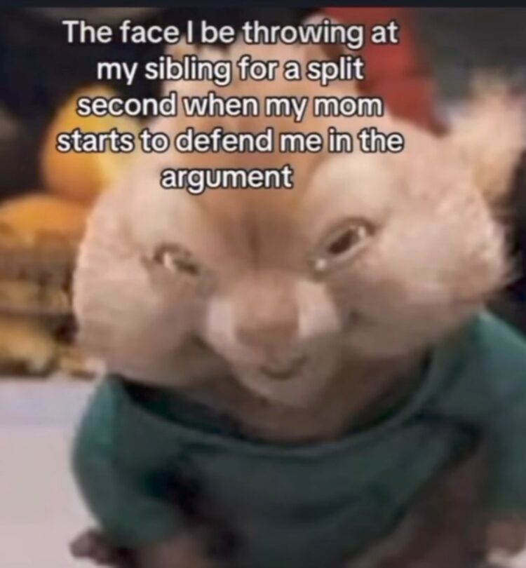 You KNOW you’ve given this look: “The face I be throwing at my sibling for a split second when my mom starts to defend me.” #MomMode.