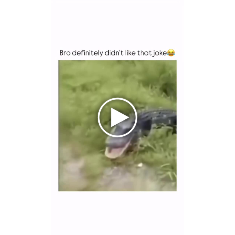 Bro definitely didn’t like that joke😂. When your friend takes dad jokes too far. Instant regret! #fail #lol.