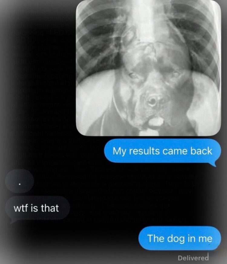When your results come back and it's literally "The dog in me." Friend: wtf is that. #dogmode #xray #memes.